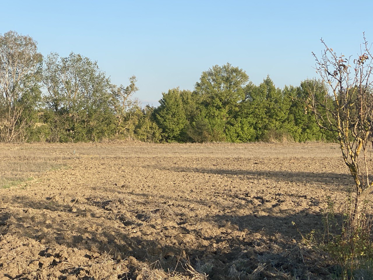 Vendesi Terreno con Rudere a Matera