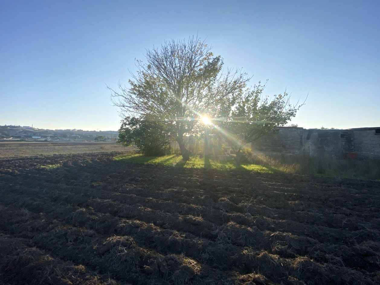 Vendesi Terreno con Rudere a Matera