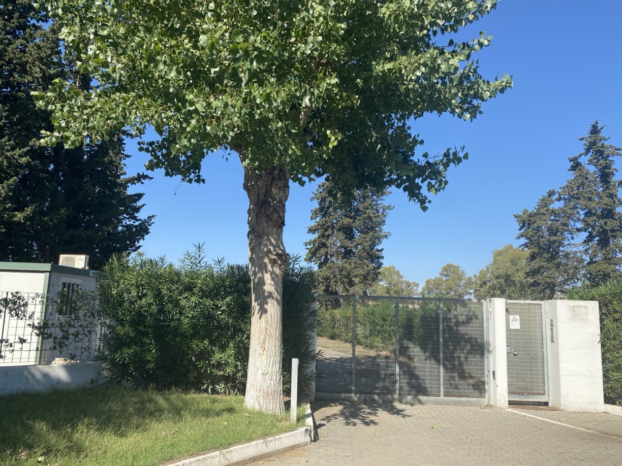 Metaponto Satiria Clique – foto 32 Appartamento a Metaponto in un Villaggio Indipendente a pochi passi dal Mare