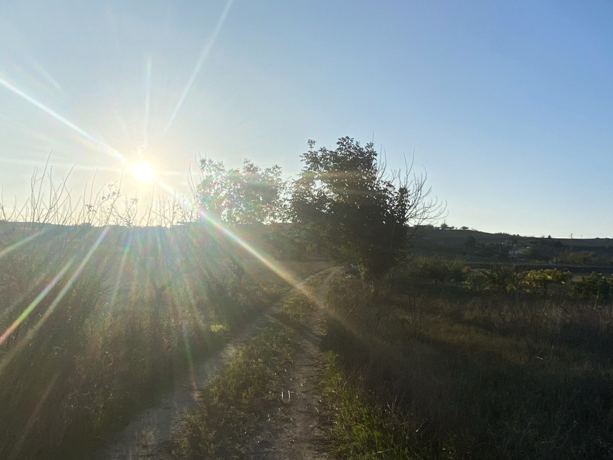 Vendesi Terreno con Rudere a Matera